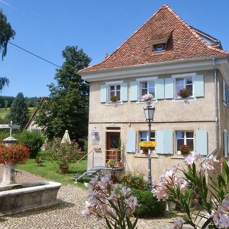 Ferienhaus Zur Alten Dame بادنويلر المظهر الخارجي الصورة