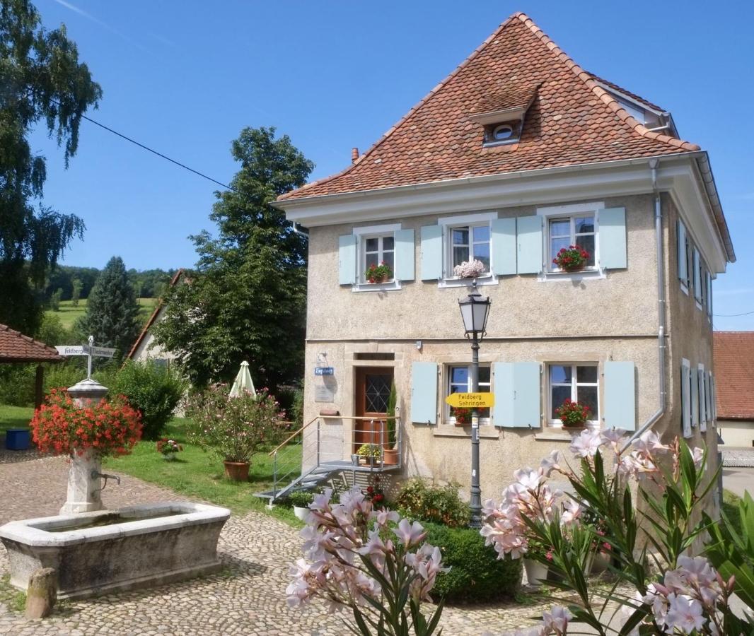 Ferienhaus Zur Alten Dame بادنويلر المظهر الخارجي الصورة