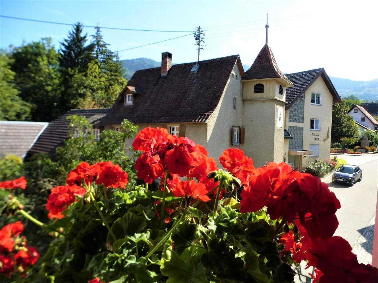 Ferienhaus Zur Alten Dame بادنويلر المظهر الخارجي الصورة
